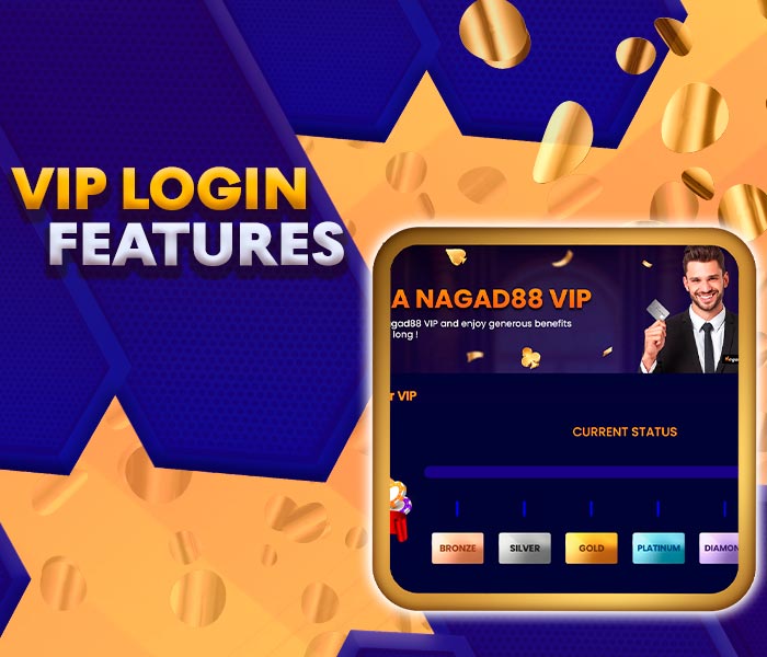 VIP system login functions