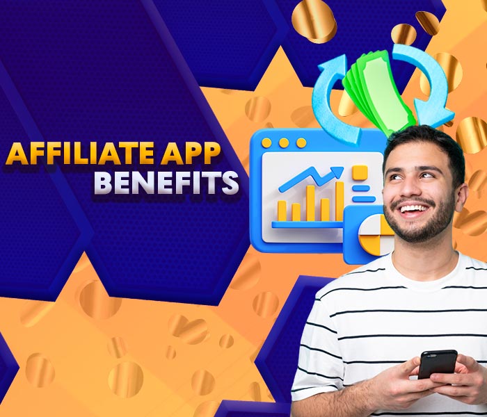Advantages of the partner application