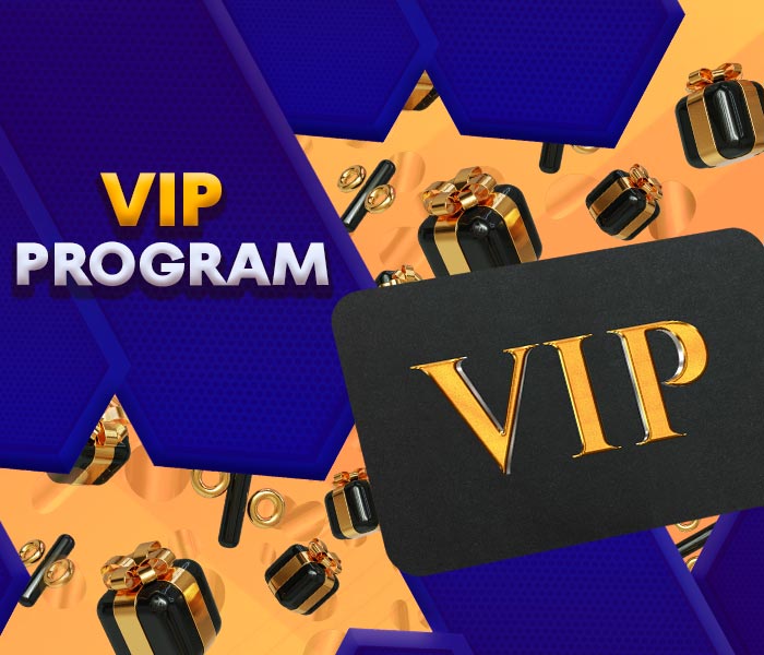 VIP Program Review