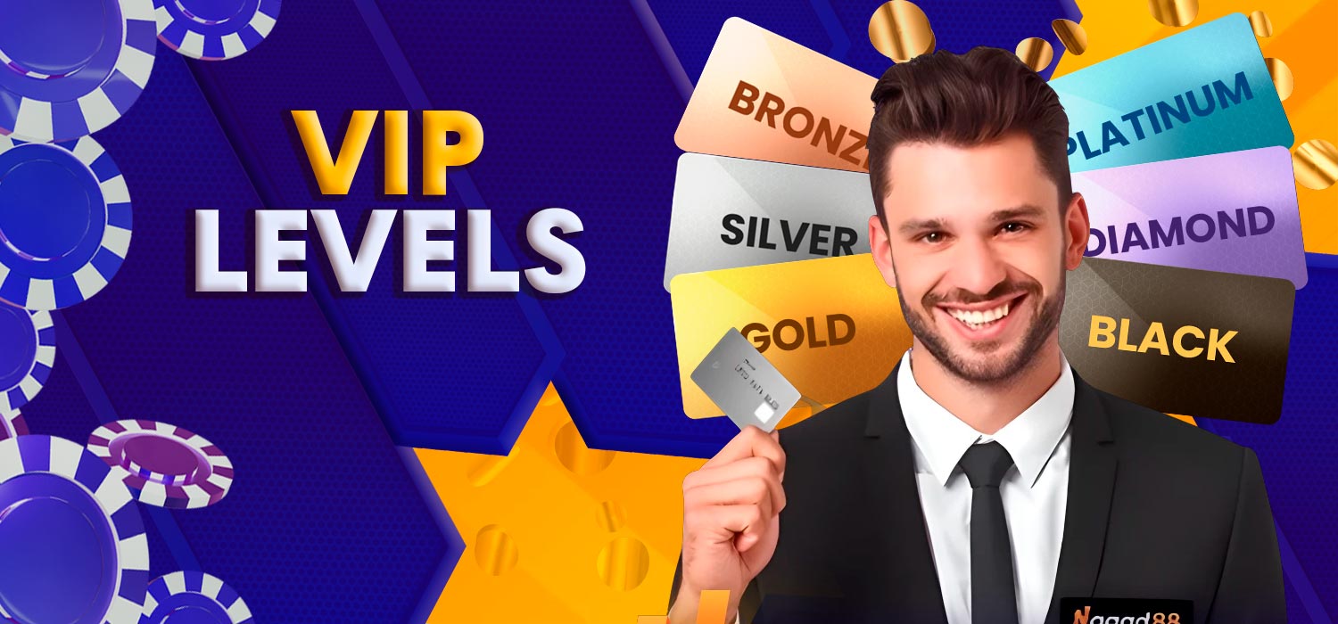 VIP levels and categories