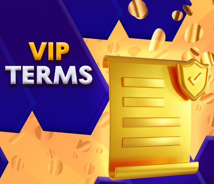 VIP terms and conditions