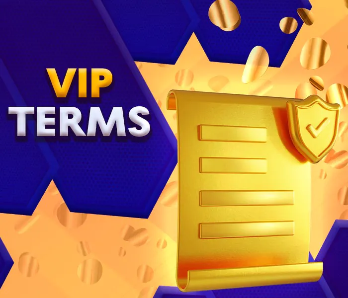 VIP terms and conditions